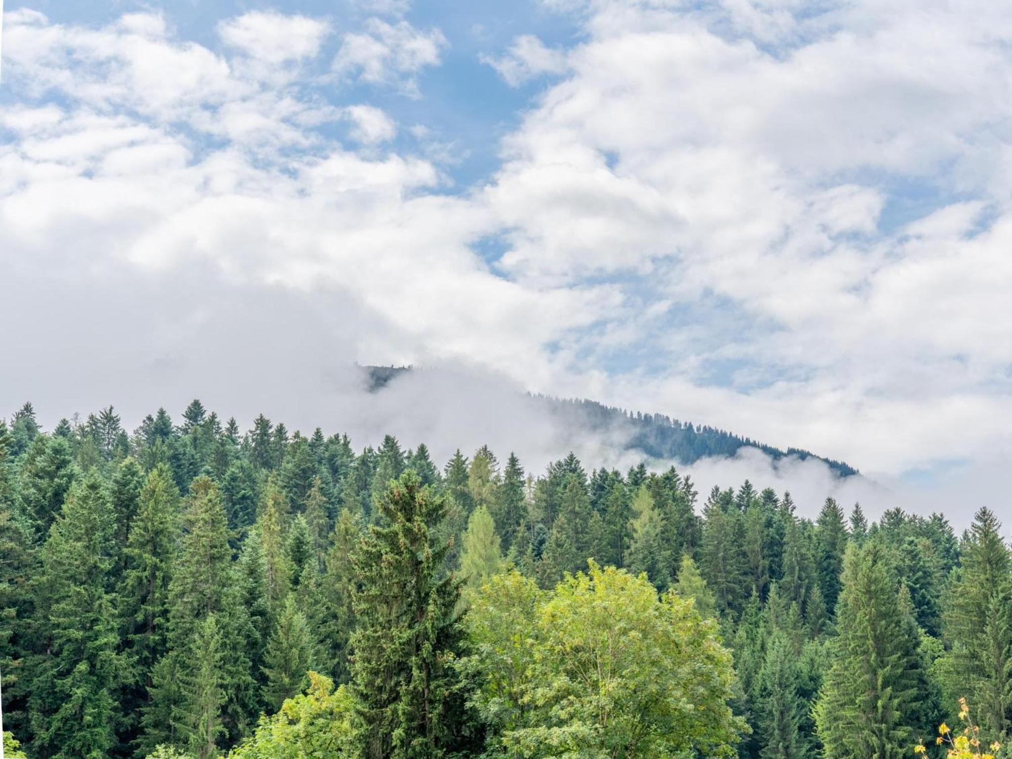 Pension Blaiken Xl Scheffau am Wilden Kaiser Exteriör bild